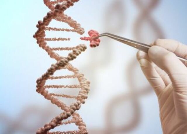 Nace la ingeniería genética