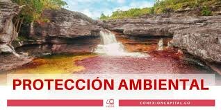 Decreto No. 0321 de 1999