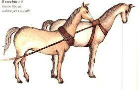 Imbragature per cavalli