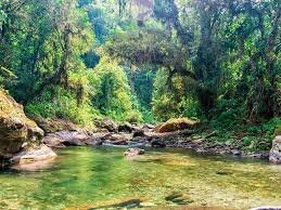 Decreto No. 3930 de 2010