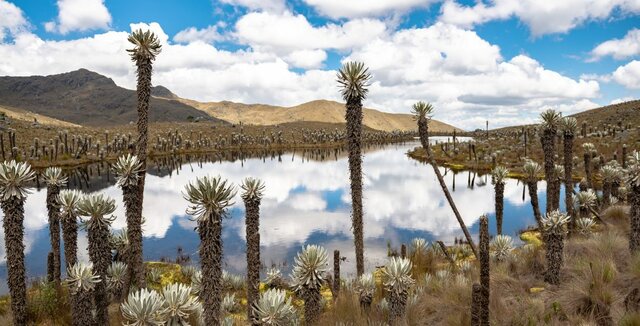 Decreto No. 1374-2013