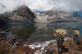 Decreto No. 1956 de 2015