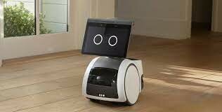 Robot domestico