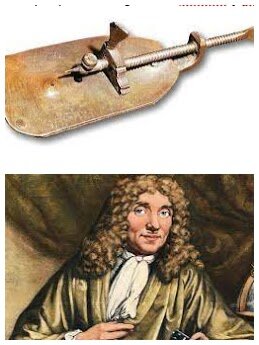 El microscopi que ens deixa veure les cèl·lules vives