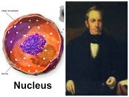 Descobrim la part més important de la 🦠