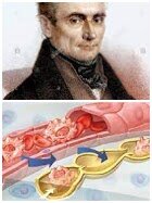 S’observa i es descriu el medi intern de la cèl·lula.