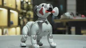 Aibo