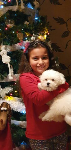 Quan em van regalar el meu gos Toby