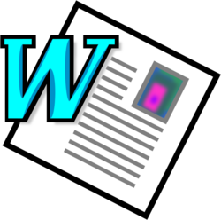Word en 1995