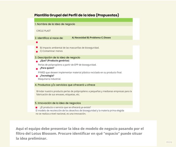 Perfil de la idea de negocio