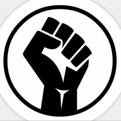 MOVIMENT SOCIAL: BLACK LIVES MATTER