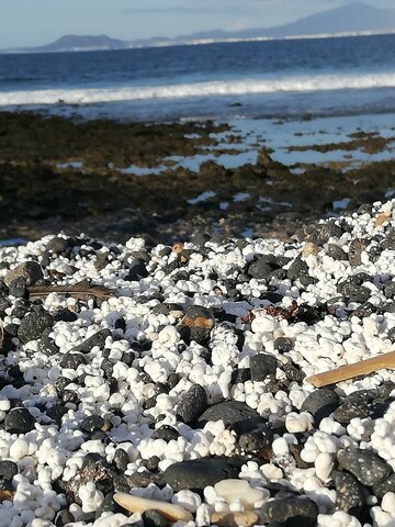 El meu viatge a fuerteventura