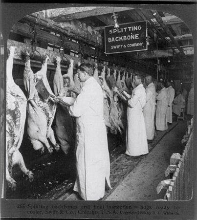 Meat Inspection Act Passed