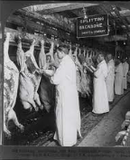 Meat inspection Act