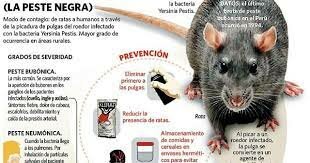 cura de la peste negra