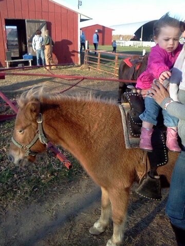 First time at a pumpkin patch!