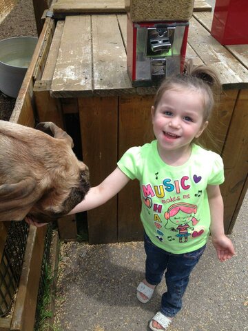 First time at a zoo.