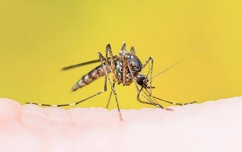 Surgimiento del concepto de Salud Pública.