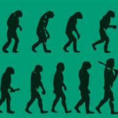 Timeline: ORIGEN Y EVOLUCION