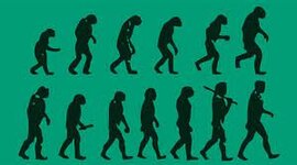 Timeline: ORIGEN Y EVOLUCION