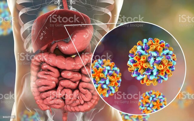 Vacuna contra el virus de la hepatitis B