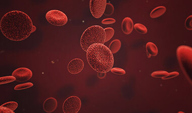 Karl Landsteiner discovered the Rh protein