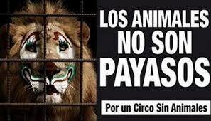 Prohibición de animales