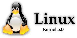 LINUX 5.0