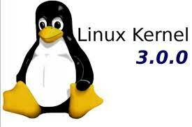 LINUX 3.0