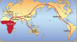 Migracion del Homo sapiens