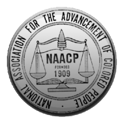 N.A.A.C.P. Founded