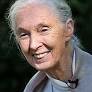 Jane Goodall