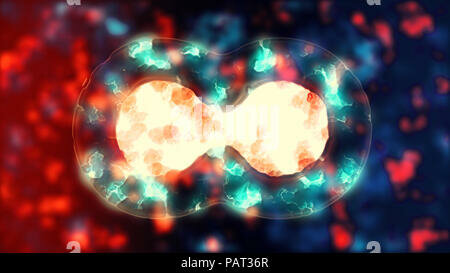 Les cèl·lules s’originen a partir d’altres preexistents.