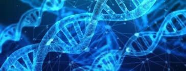 Es considera la cèl·lula la unitat genètica