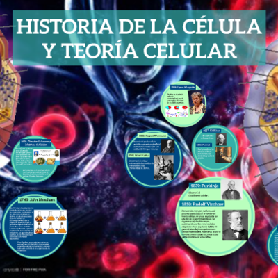 Timeline: Història de sa cèl·lula