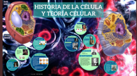 Timeline: Història de sa cèl·lula