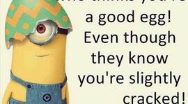 Timeline: Rando timetable