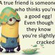 Best 30 minions best friend quotes humor funny