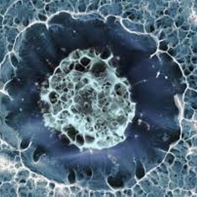 Timeline: La teoría celular