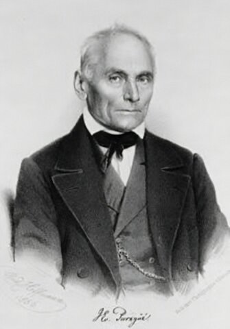 J. Purkinje va proposar idees basiques.