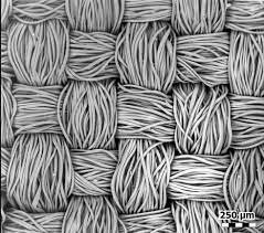 Es construeix un microscopi de 200 d'augment i observar cèl·lules vives