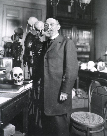 Es demostra que le cèl·lules s’originen únicament a partir d’altres preexistents.