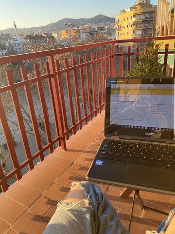 Inici de la pandemia, COVID-19