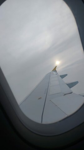 Primer viatge en avió