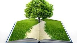 Timeline: EDUCACIÓ AMBIENTAL