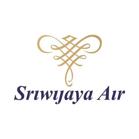 Sriwijaya Air, crashes into the Java Sea