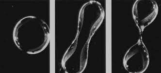 "Liquid drop" concept