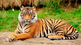 Timeline: Edwin Santiago Rosas Salas