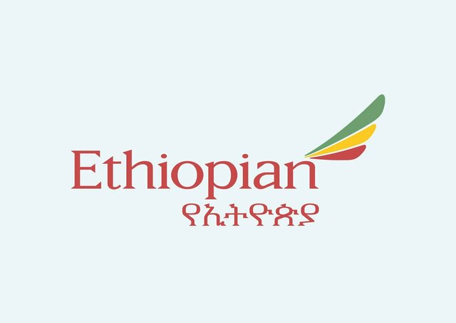Ethiopian Airlines Boeing 737-Max crash