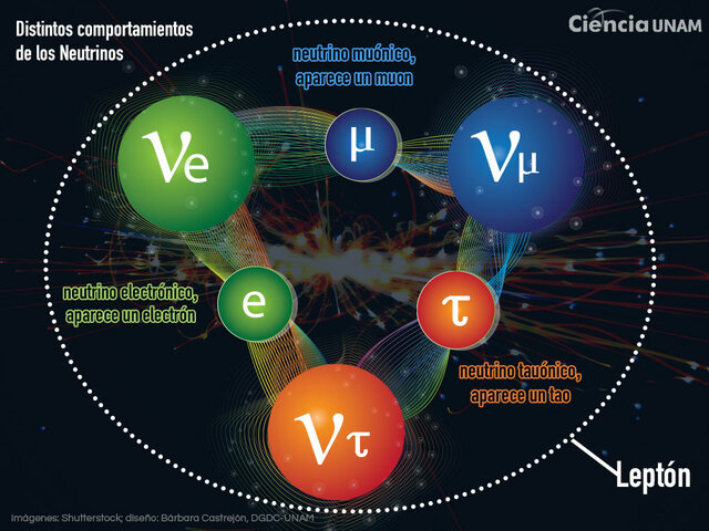 Descobriment del neutrí